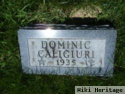 Dominic Caligiuri
