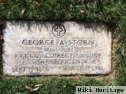 George Albert Storm