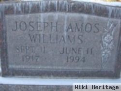 Joseph Ambrose Williams