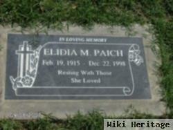 Elida M Paich