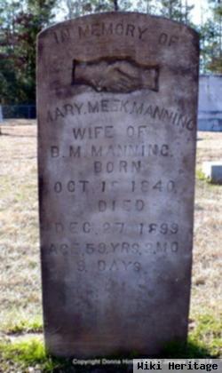 Mary Meek Watts Manning