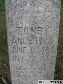 Toney Anderson