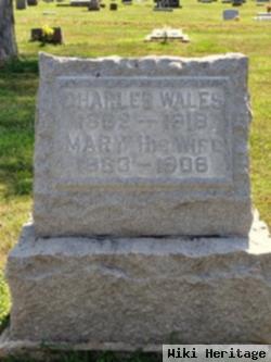 Charles Wales