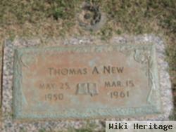 Thomas A. New