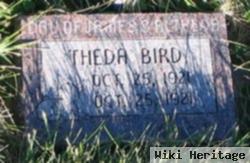 Theda Bird