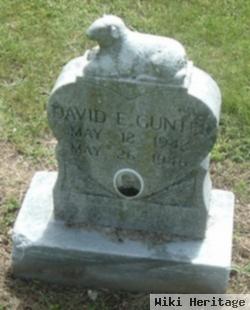 David E Gunter