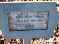 James Nelson Williams