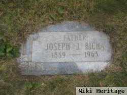 Joseph John Bicha