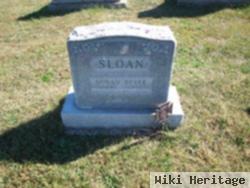 Susan Belle Sloan