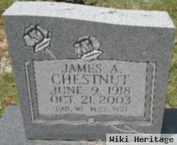 James A. Chestnut