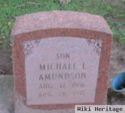 Michael L Amundson