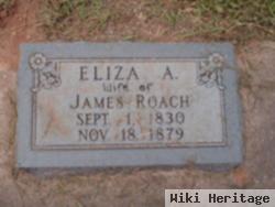 Eliza Ann Price Roach