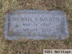 Michael A Galiette