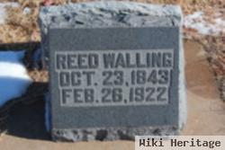 Reed Walling