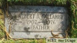 Albert A Gallahue