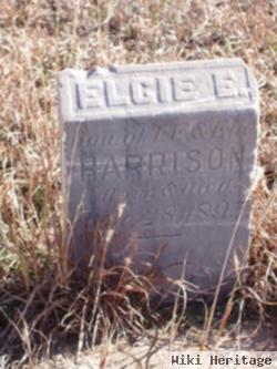 Elcie E Harrison