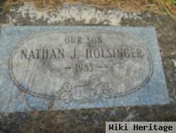 Nathan J Holsinger