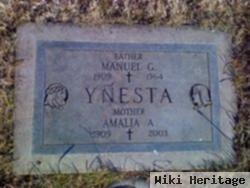 Manuel G Ynesta