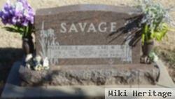 Carl W Savage, Jr