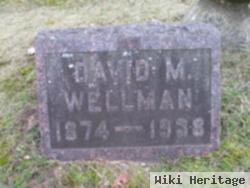 David M Wellman