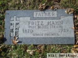 Fritz Hahn