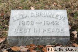 Eliza C. Dabney Brumleve