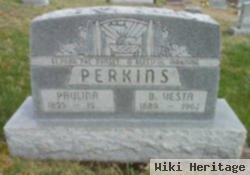 Buena Vista Perkins