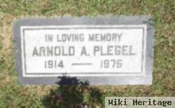 Arnold Albert Plegel