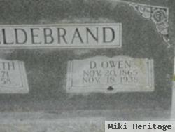 David Owen Heldebrand