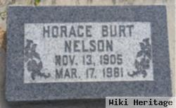 Horace Burt Nelson