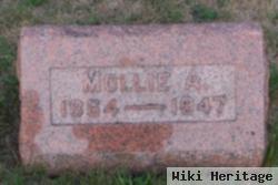 Mary Ann "mollie" Mowrey Holmes