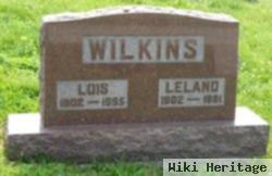 Leland E. Wilkins