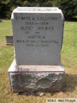 Alice E Galloway