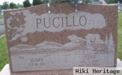 Joan Ippolito Pucillo