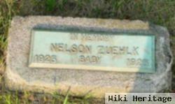 Nelson Zuehlk