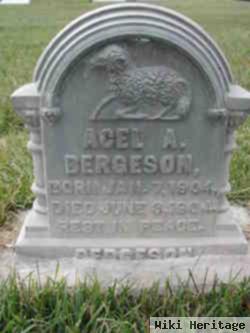 Acel A. Bergeson