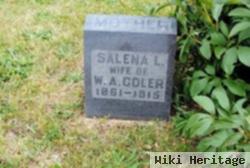 Salena L Volf Coler