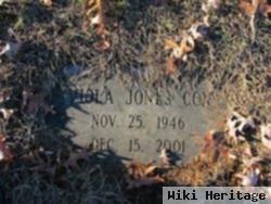 Viola Jones Cox