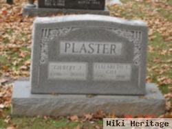 Elizabeth L Gill Plaster