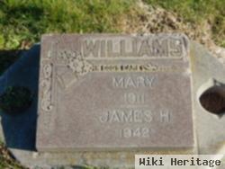 James Henry Williams