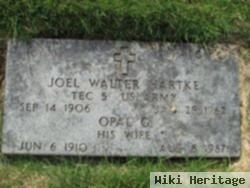 Walter Joel Hartke