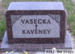 James B Vasecka