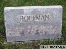 Vicki Ann Hoffman