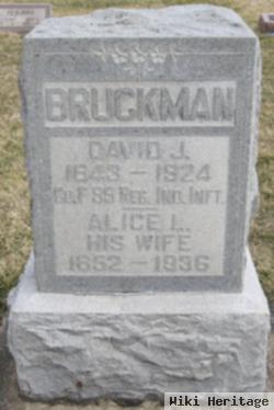 Alice L. Hill Bruckman