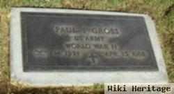 Paul P Gross