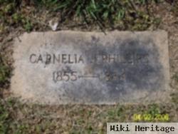 Cornelia Jane Brown Phillips