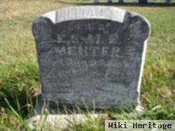 Lillian M Menter