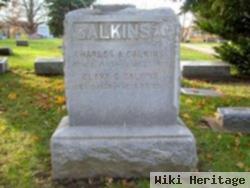 Charles Austin Calkins