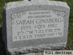 Sarah Ginsberg