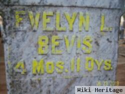 Evelyn L Bevis